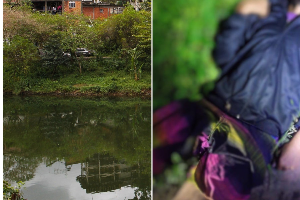 foto Not&iacute;cia Caraguatatuba