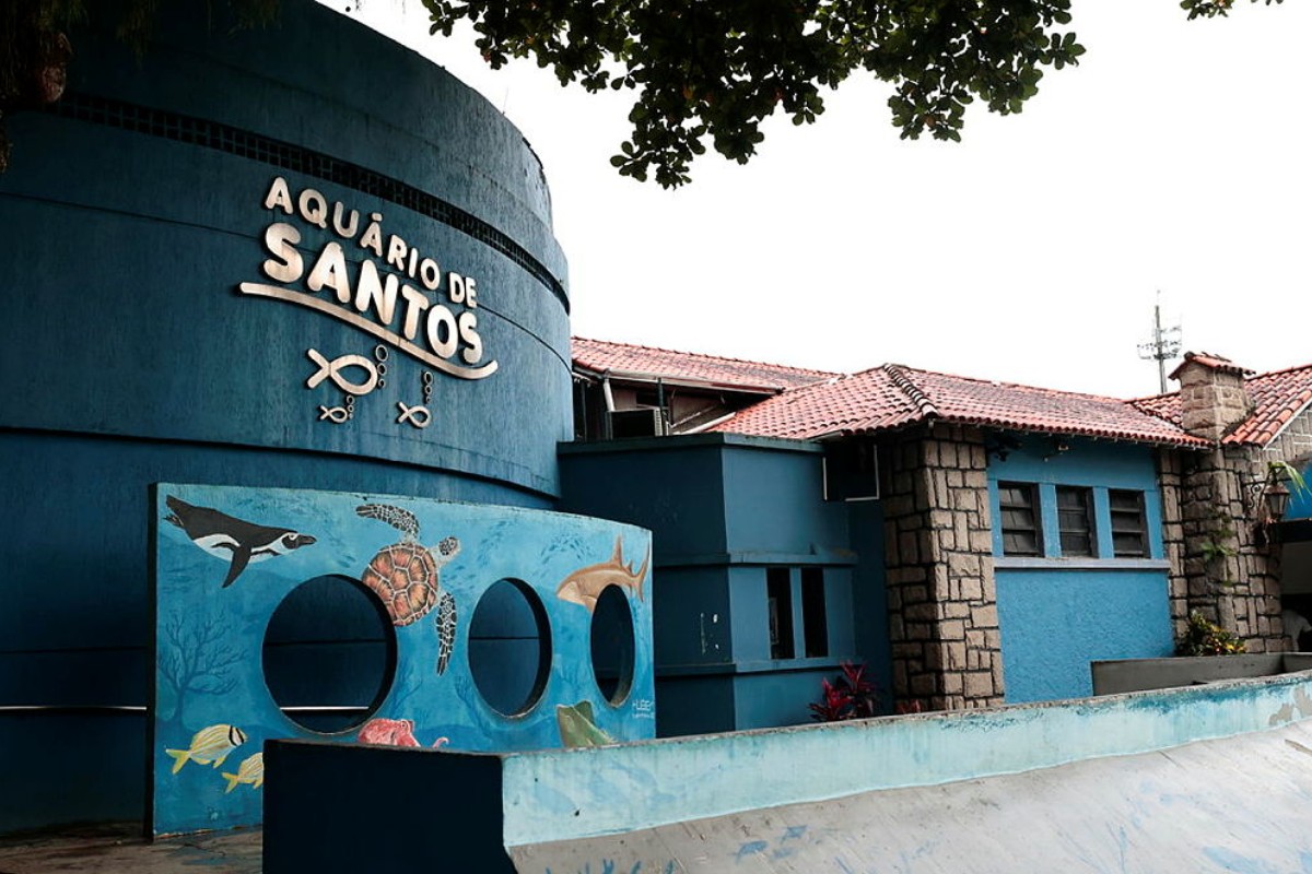 foto Not&iacute;cia Caraguatatuba